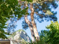 Annot 04 le 29 09 2019 35  Annot - 04 - 29 septembre 2019