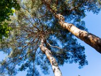 Annot 04 le 29 09 2019 40  Annot - 04 - 29 septembre 2019