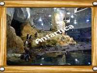 Antartica  Marineland - Parc d'attractions aquatiques - Antibes - Août 2014