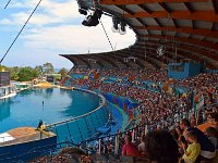 Marineland aout 2014 10  Marineland - Parc d'attractions aquatiques - Antibes - Août 2014