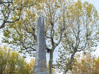 Aups 17 11 2019 45  Aups - 83 - 17 novembre 2019