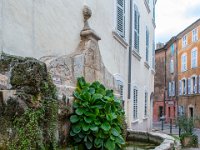 Aups 17 11 2019 66  Aups - 83 - 17 novembre 2019