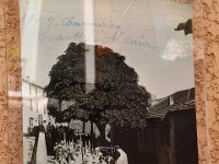 DSC 0020  Carte postale de l'ancien temps en 1929.