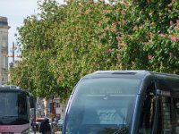 Bordeaux 02052018 7  Bordeaux (33) - 02 mai 2018.