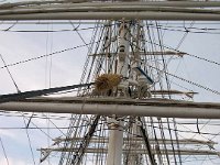 MATS4  Le Belem.