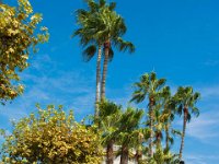 Cannes 04 09 2018 20  Cannes (06) - 04 septembre 2018.