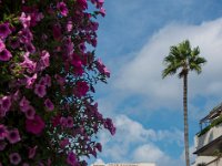 Cannes 04 09 2018 36  Cannes (06) - 04 septembre 2018.