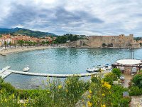 Collioure 10 06 2024 4  Collioure (66) - 10 06 2024