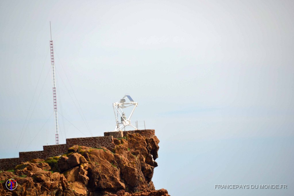 DSC0093.JPG - Antennes sur le Lion de Mer.04 octobre 2015.