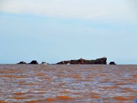 DSC0072  Le Lion de Mer.04 octobre 2015.