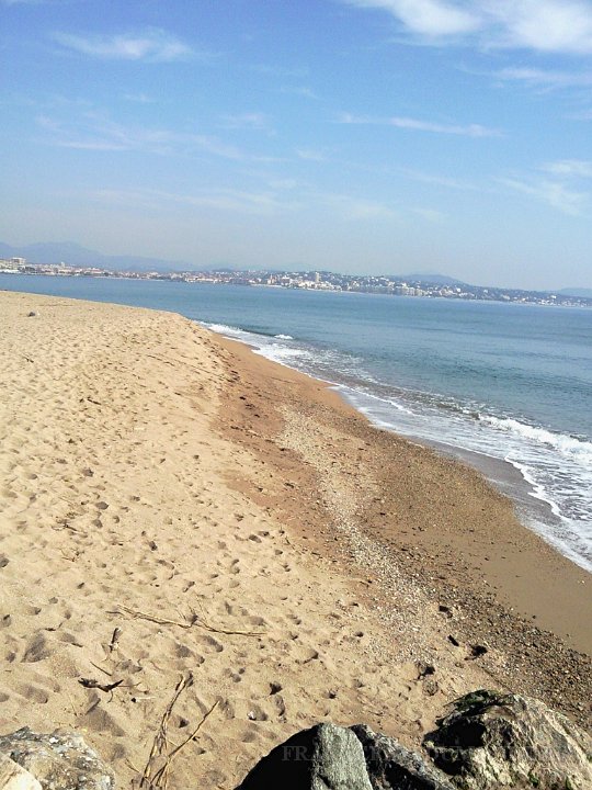 29 fevrier 2012   1.jpg - Les plages, côté, embouchure de l'Argens.