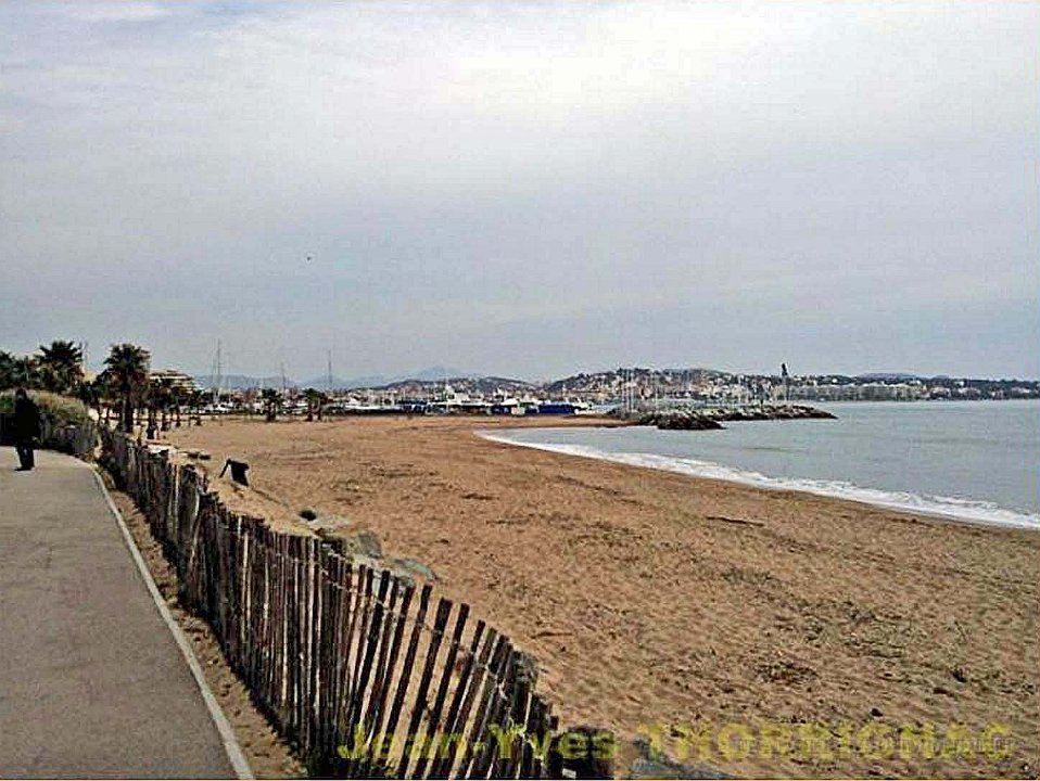 Diapositive3 .jpg - le bord de mer à la base nature "François Léotard" en février, au fond,le port de Fréjus.