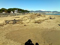 Base Nature
