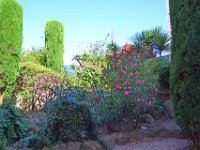 DSC0062  La flore du lagon Bleu - 23 juin 2015