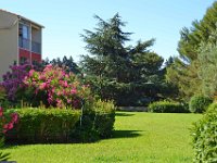DSC0067  La flore du lagon Bleu - 23 juin 2015
