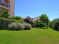 DSC0125  Flore du Lagon Bleu, à gauche, le bâtiment le Hawaï - 23 juin 2015