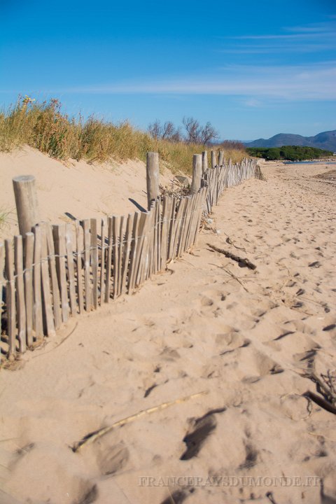 Etangs de Villepey 03122017 26.jpg - Fréjus (83) - Les étangs de Villepey - 03 décembre 2017.