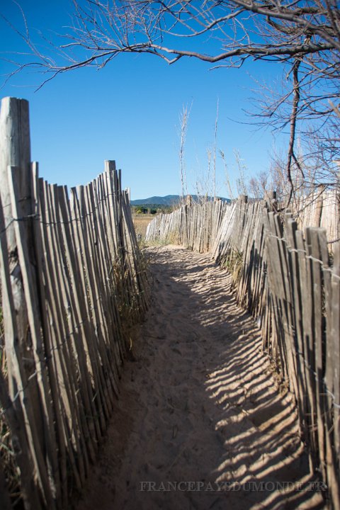 Etangs de Villepey 03122017 29.jpg - Fréjus (83) - Les étangs de Villepey - 03 décembre 2017.