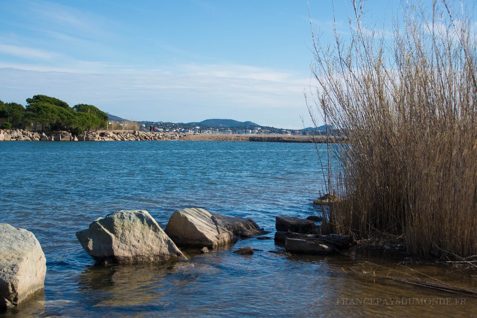 Etangs de Villepey 03122017 38.jpg - Fréjus (83) - Les étangs de Villepey - 03 décembre 2017.