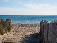 Etangs de Villepey 03122017 17  Fréjus (83) - Les étangs de Villepey - 03 décembre 2017.