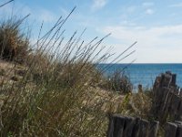 Etangs de Villepey 03122017 18  Fréjus (83) - Les étangs de Villepey - 03 décembre 2017.