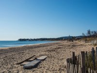 Etangs de Villepey 03122017 19  Fréjus (83) - Les étangs de Villepey - 03 décembre 2017.