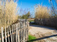 Etangs de Villepey