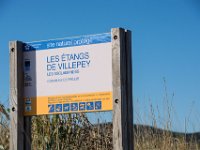 Etangs de Villepey 03122017 21