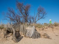 Etangs de Villepey 03122017 27  Fréjus (83) - Les étangs de Villepey - 03 décembre 2017.