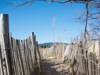 Etangs de Villepey 03122017 29  Fréjus (83) - Les étangs de Villepey - 03 décembre 2017.