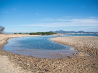 Etangs de Villepey 03122017 31  Fréjus (83) - Les étangs de Villepey - 03 décembre 2017.