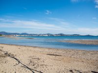 Etangs de Villepey 03122017 32  Fréjus (83) - Les étangs de Villepey - 03 décembre 2017.