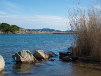 Etangs de Villepey 03122017 38  Fréjus (83) - Les étangs de Villepey - 03 décembre 2017.