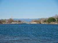 Etangs de Villepey 03122017 39  Fréjus (83) - Les étangs de Villepey - 03 décembre 2017.