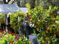 sans titre0091  Fête des plantes - 31 mars 1er & 2 avril 2017.
