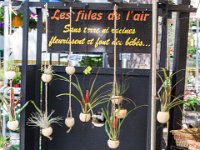 sans titre0103  Fête des plantes - 31 mars 1er & 2 avril 2017.