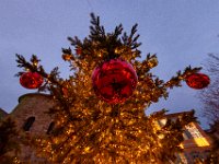 Illuminations Frejus 2020 18  Fréjus (83) - Fin d'année 2020.