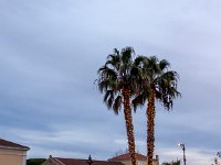 Illuminations Frejus 2020 6  Fréjus (83) - Fin d'année 2020.