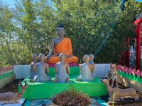 Pagode Boudhique Hong Hein Frejus 18 09 22 21  Pagode Boudhique Hong Hein Frejus 18 09 22