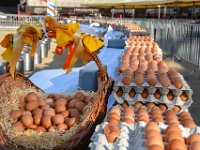 omelette geante 8  Fréjus (83) - L'omelette géante - 10 septembre 2017.
