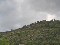 Massif des Maures  Massif des Maures.  Le 05 décembre sous la pluie.