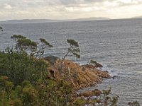 Pointe du Layet Le Lavandou 5  Pointe du Layet.  Le 05 décembre sous la pluie.