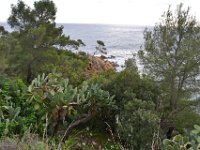 Pointe du Layet Le Lavandou 8  Pointe du Layet.  Le 05 décembre sous la pluie.