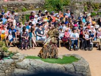 Bal des oiseaux fantomes 10  Puy du Fou (85) - Bal des oiseaux fantomes - Mai 2019