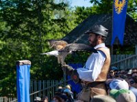 Bal des oiseaux fantomes 11  Puy du Fou (85) - Bal des oiseaux fantomes - Mai 2019