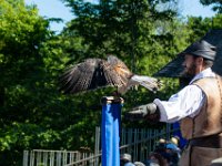 Bal des oiseaux fantomes 12  Puy du Fou (85) - Bal des oiseaux fantomes - Mai 2019