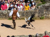 Bal des oiseaux fantomes 17  Puy du Fou (85) - Bal des oiseaux fantomes - Mai 2019