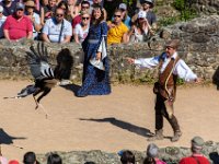 Bal des oiseaux fantomes 19  Puy du Fou (85) - Bal des oiseaux fantomes - Mai 2019