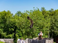 Bal des oiseaux fantomes 23  Puy du Fou (85) - Bal des oiseaux fantomes - Mai 2019