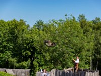 Bal des oiseaux fantomes 24  Puy du Fou (85) - Bal des oiseaux fantomes - Mai 2019